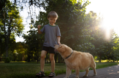As vantagens de adotar um animal de estimação na infância